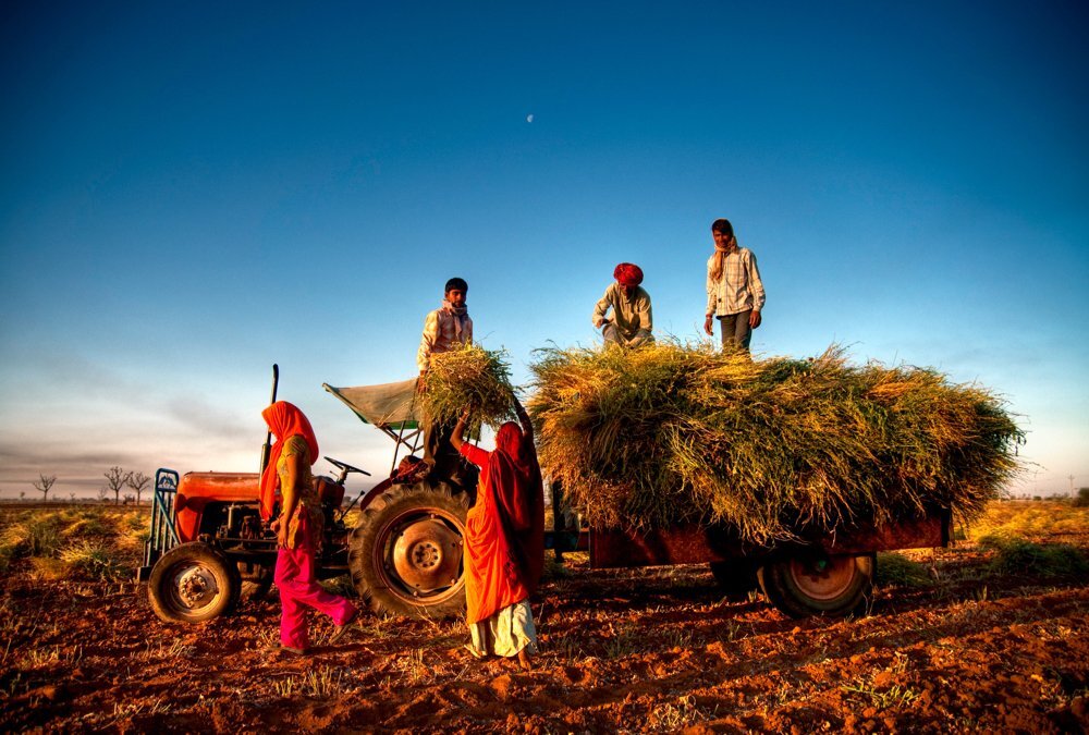 Indiase boeren van de landbouw in India